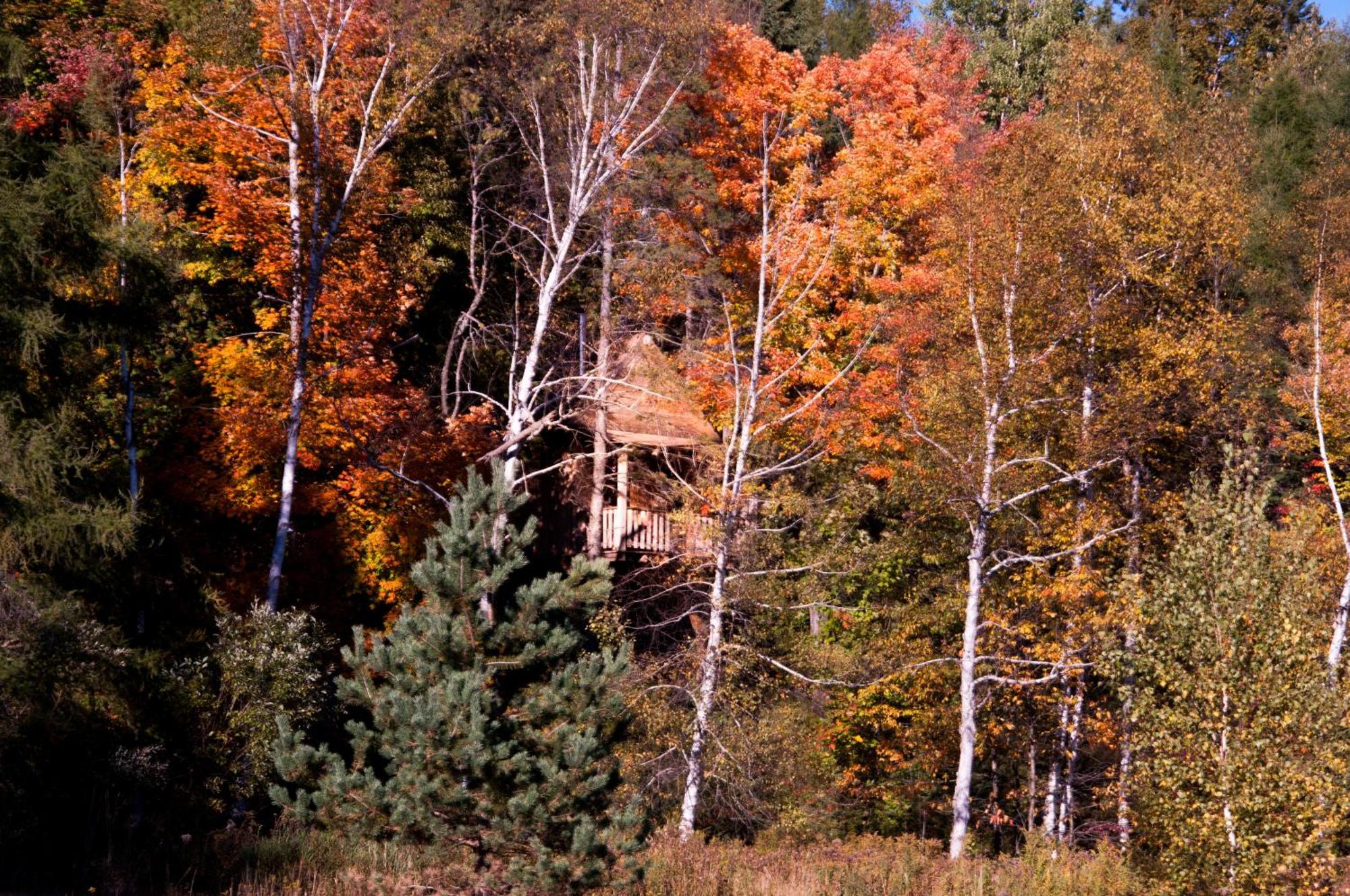 Les Cabanes Du Trappeur Wentworth-Nord Zewnętrze zdjęcie