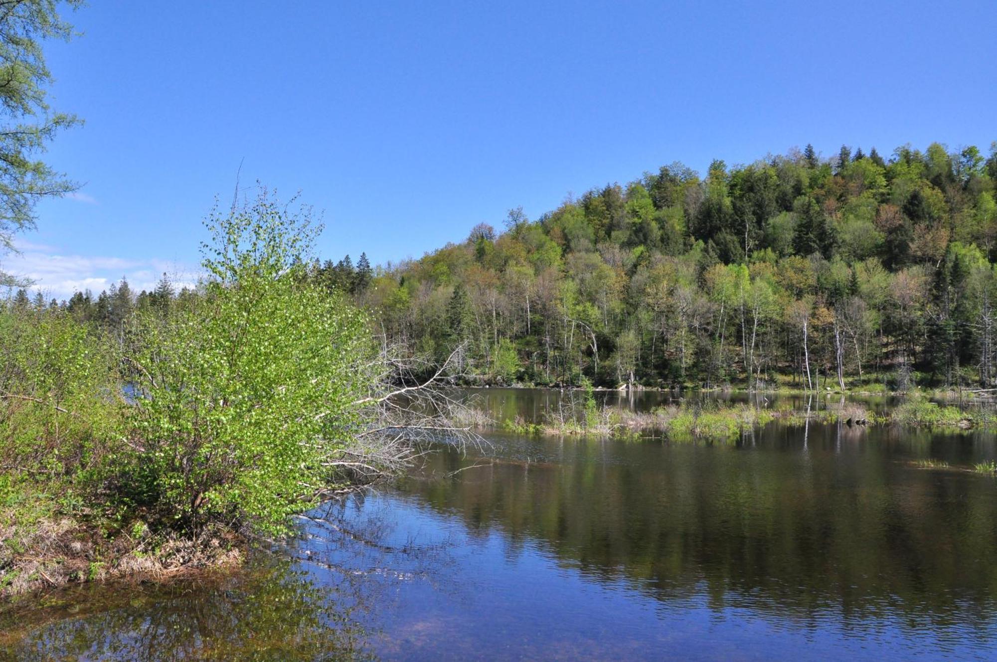 Les Cabanes Du Trappeur Wentworth-Nord Zewnętrze zdjęcie
