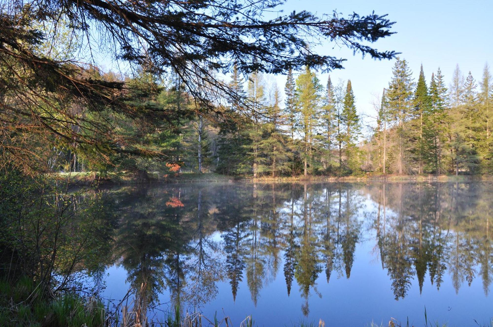 Les Cabanes Du Trappeur Wentworth-Nord Zewnętrze zdjęcie