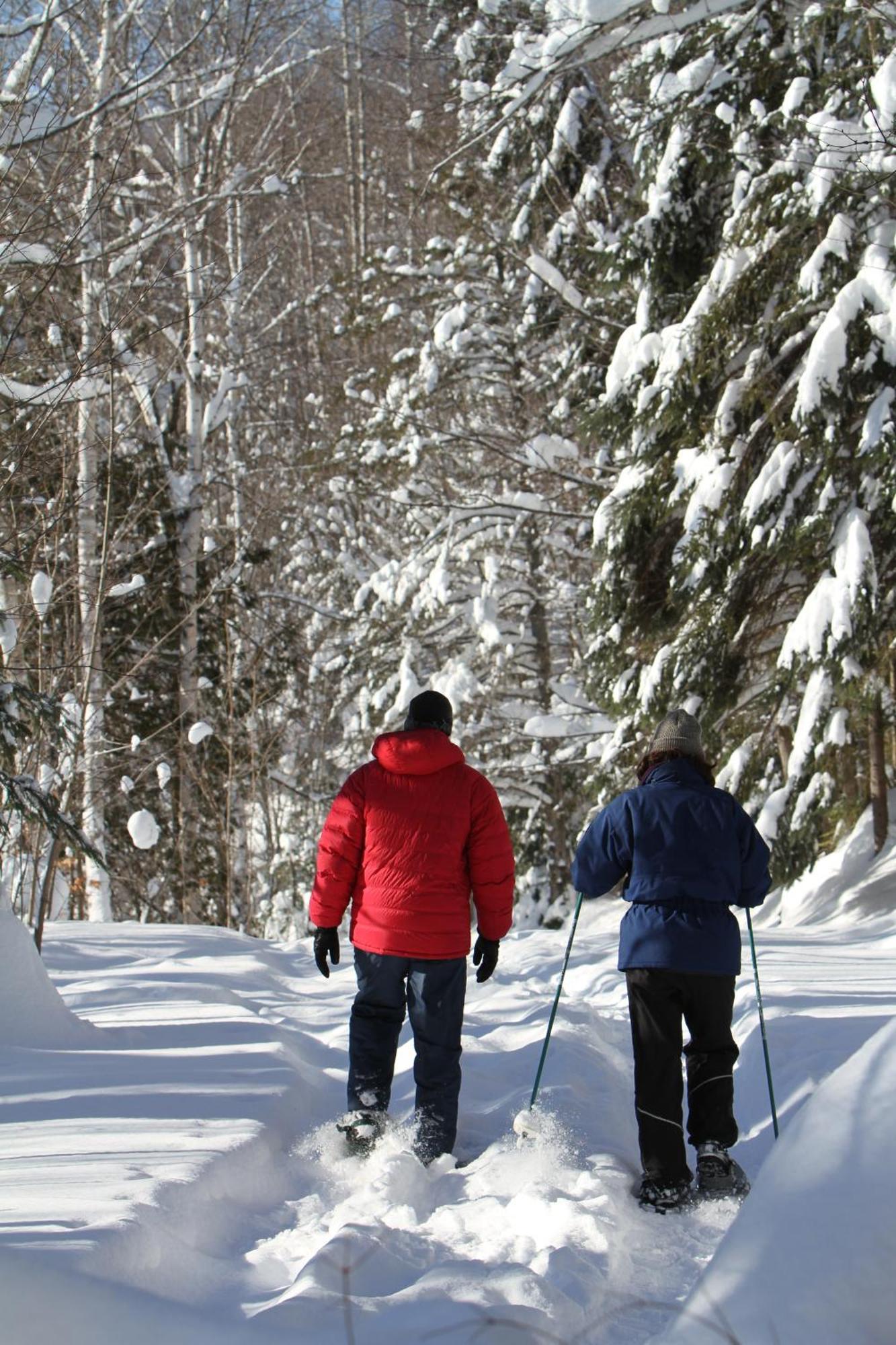 Les Cabanes Du Trappeur Wentworth-Nord Zewnętrze zdjęcie