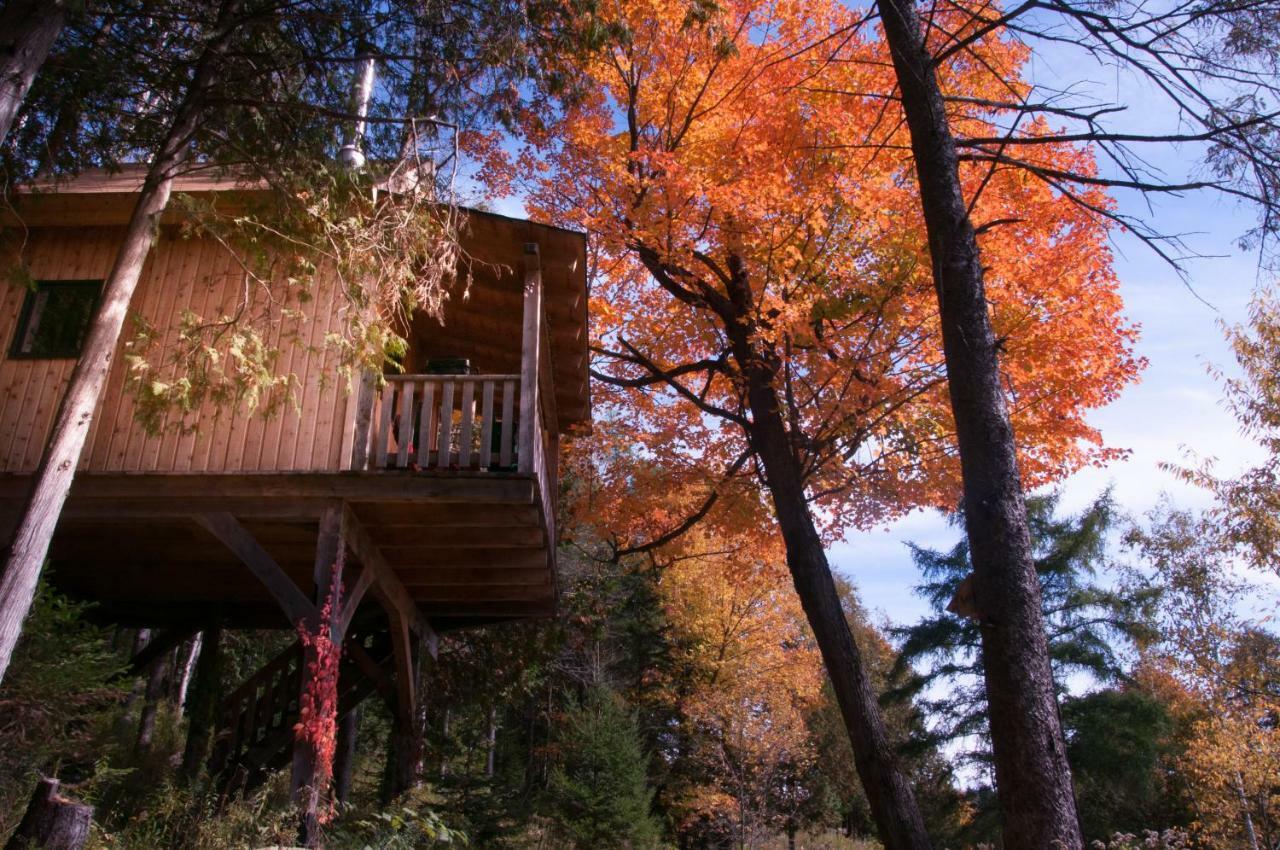Les Cabanes Du Trappeur Wentworth-Nord Zewnętrze zdjęcie